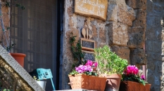 frontdoor_civitadibagnoregio_cameraandcarryon-jpg