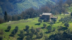 valley_civitadibagnoregio_cameraandcarryon-jpg