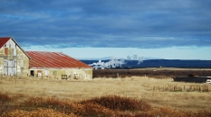 icelandfarm_ourstory_cameraandcarryon-jpg