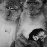 My Favorite Instagrams of 2014