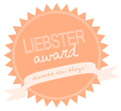 Liebster Award  - we answer questions from travel bloggers and nominate some of our favorites! | CameraAndCarryOn.com