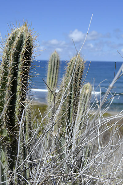 Photo on the Map: St. Croix, USVI - Point Udall is the easternmost point in the US. Gorgeous Isaac Bay! | CameraAndCarryOn.com