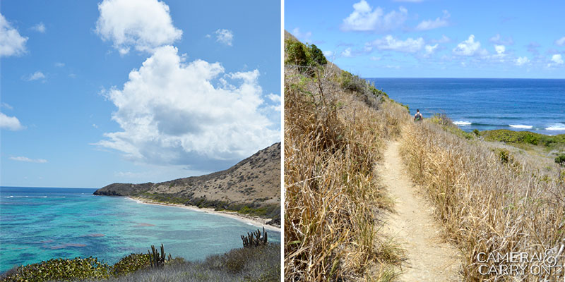 Drunk on Love (and maybe a little Rum) in St. Croix, US Virgin Islands | CameraAndCarryOn.com