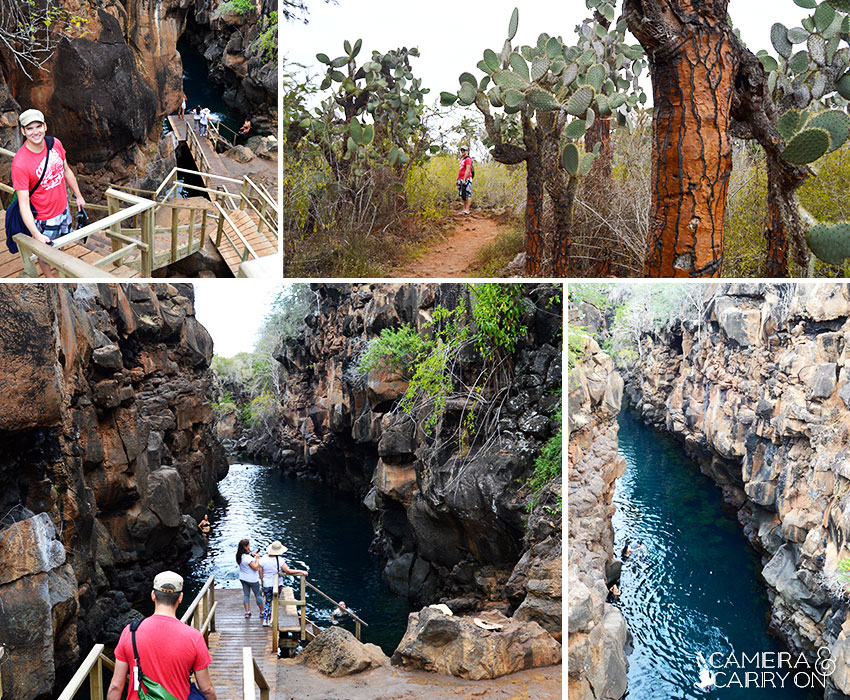 5 Things to Get Excited About in Santa Cruz, Galapagos | CameraAndCarryOn.com