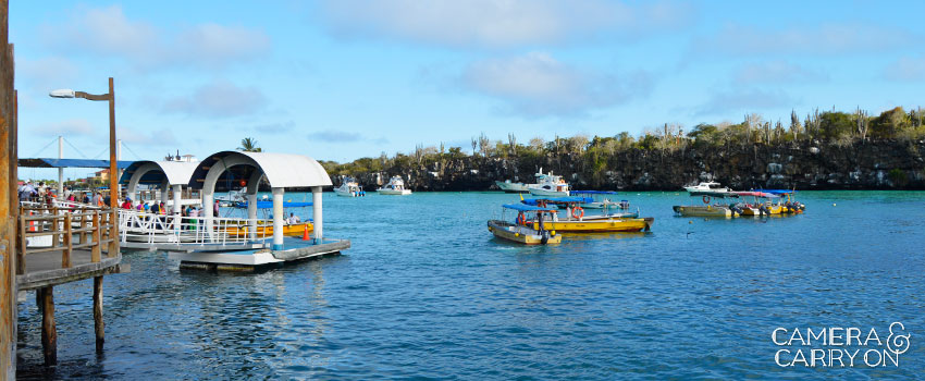5 Things to Get Excited About in Santa Cruz, Galapagos | CameraAndCarryOn.com