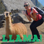 Inca Corn and Llamas: The Art of Exploring Machu Picchu