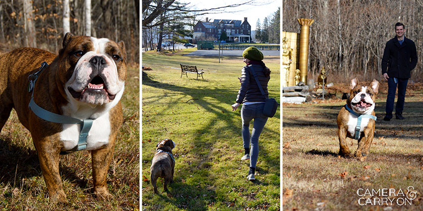 A Weekend Getaway in Manchester, VT - Pancakes, A Mansion, and Quirty Art at the Wilburton Inn | CameraAndCarryOn.com